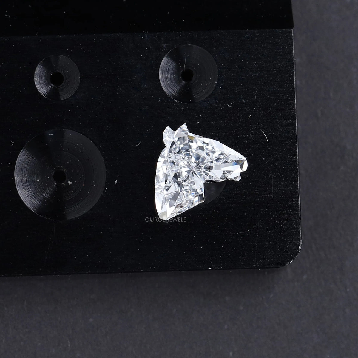 Unique Horse Head Cut Loose Diamond Loose