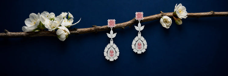 Fancy pink lab-grown diamond bridal drop earrings in white gold — cushion cut pink diamond studs with marquise leaf connector and pear cut pink diamond halo drop, hanging on cherry blossom branch against navy blue background