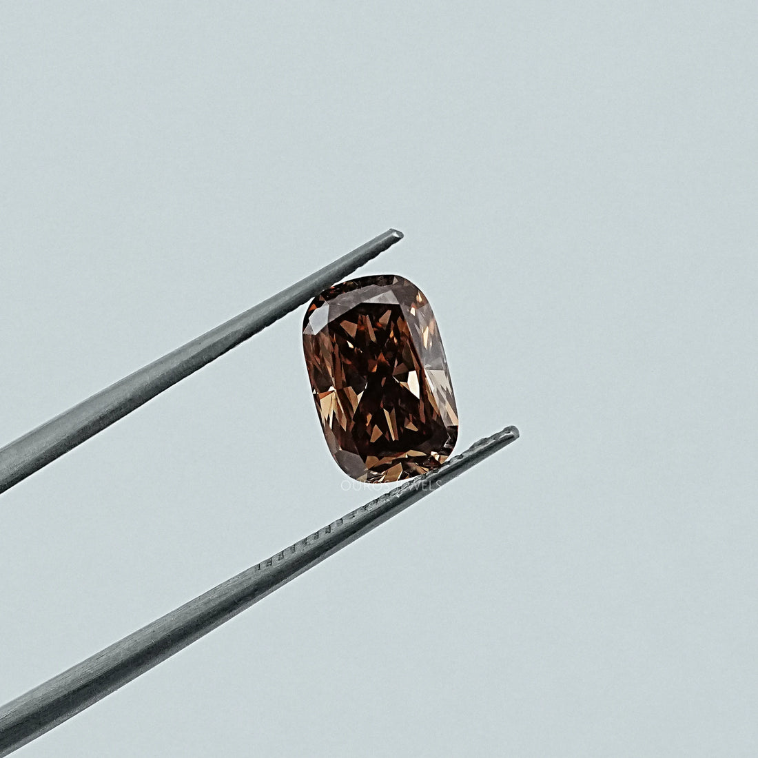 Champagne Elongated Cushion Cut Loose Loose